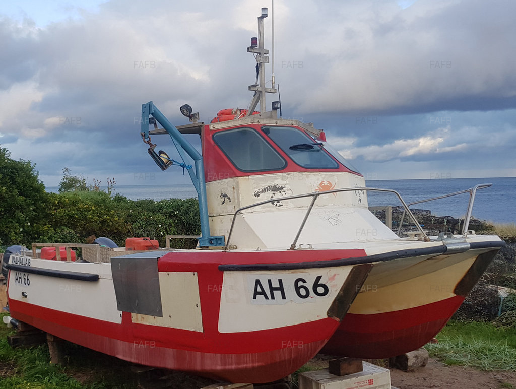 Cheetah Catamaran 6.9m