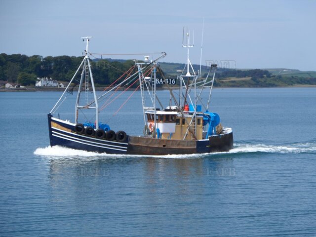 Large picture for advert 111355