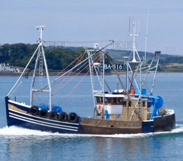 Main picture for advert 111355