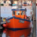 Extra picture for advert 107805